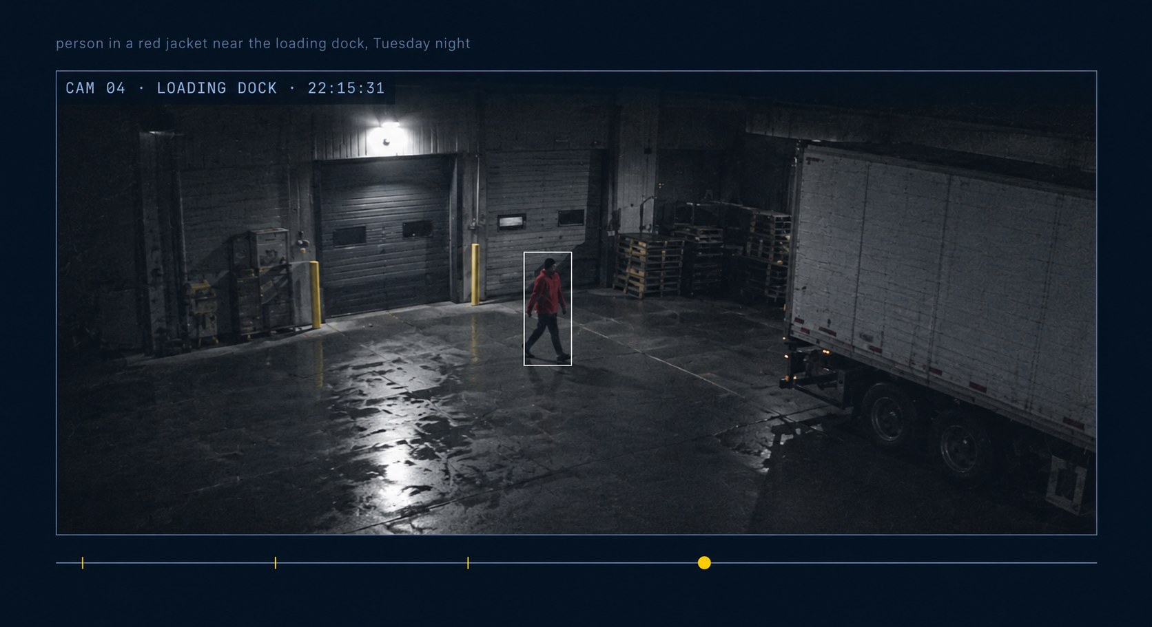 A single video clip playing, the subject boxed by the detector with a timeline beneath.